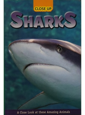 近距离观察原版书CloseUp鲨鱼英语科普绘本适合710岁儿童阅读探索海洋生物世界了解鲨鱼种类习性栖息地食物感官攻击行为激发海洋