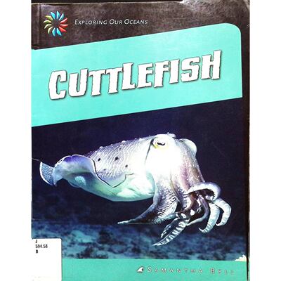 英文原版图书海洋生物科普书