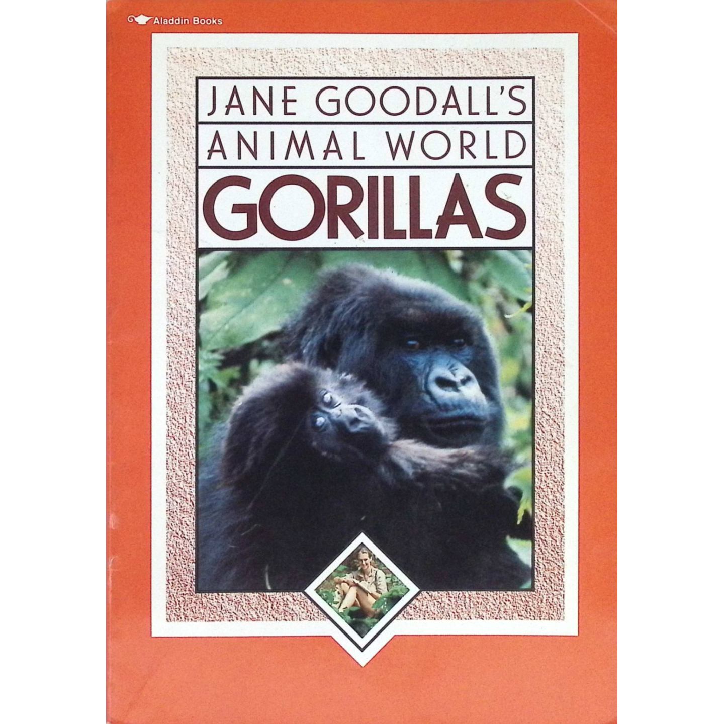 英文原版图书大猩猩科普绘本