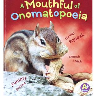 英语原版书我知道的单词系列一口拟声词Words绘本亲子共读早教启蒙适合36岁儿童语言艺术学习通过生动例句和插图帮助孩子掌握拟