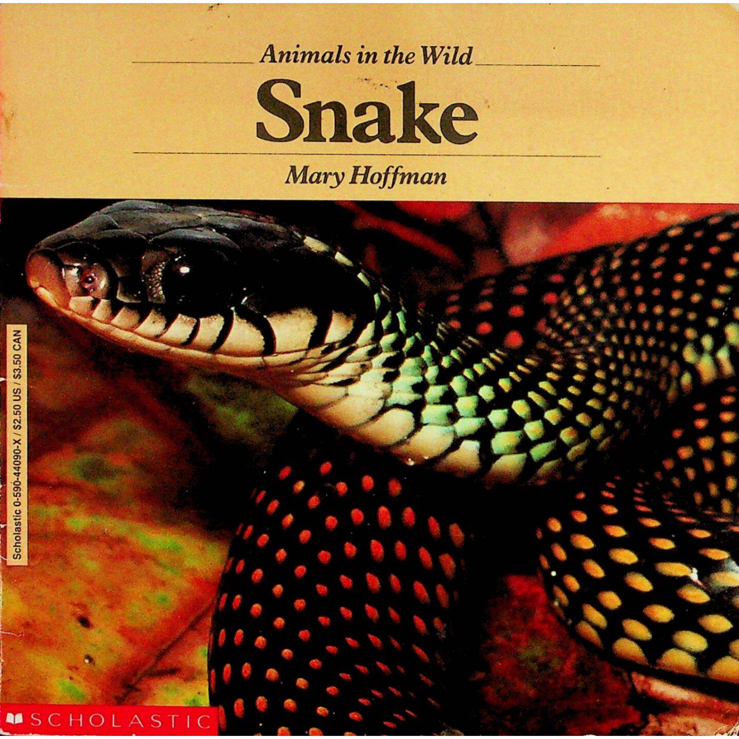 英语原版书野生动物系列Snake科普绘本适合710岁儿童阅读了解蛇的种类习性生活环境生存挑战等自然科学知识