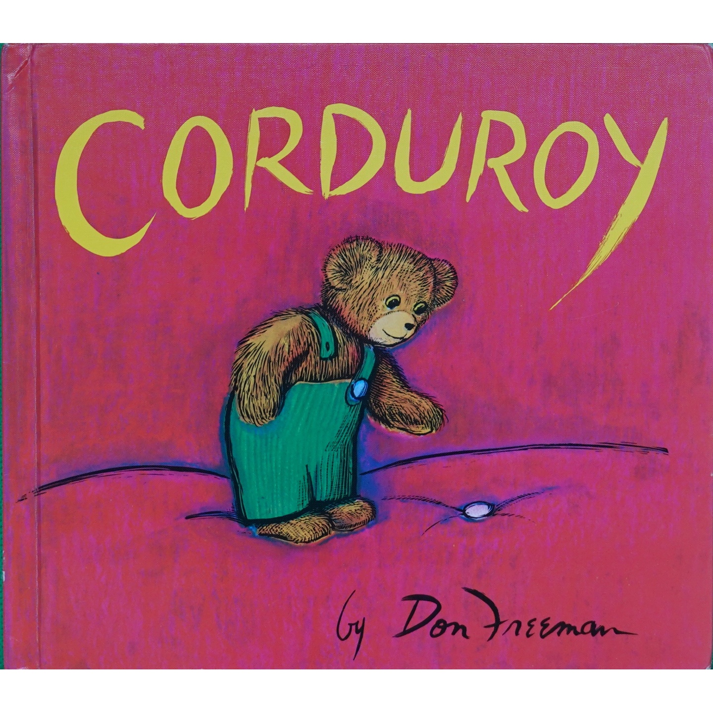 英文原版图书温暖小熊冒险故事