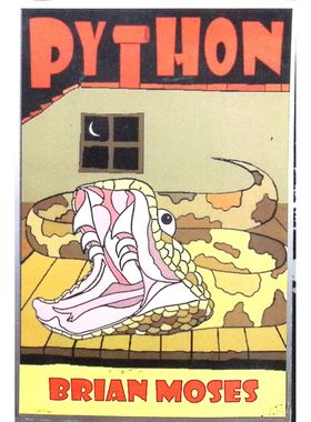 原版引进英语绘本书Python蟒蛇英国儿童诗人布莱恩摩西首部小说作品动物冒险惊悚故事适合710岁儿童阅读培养勇气与解决问题能力