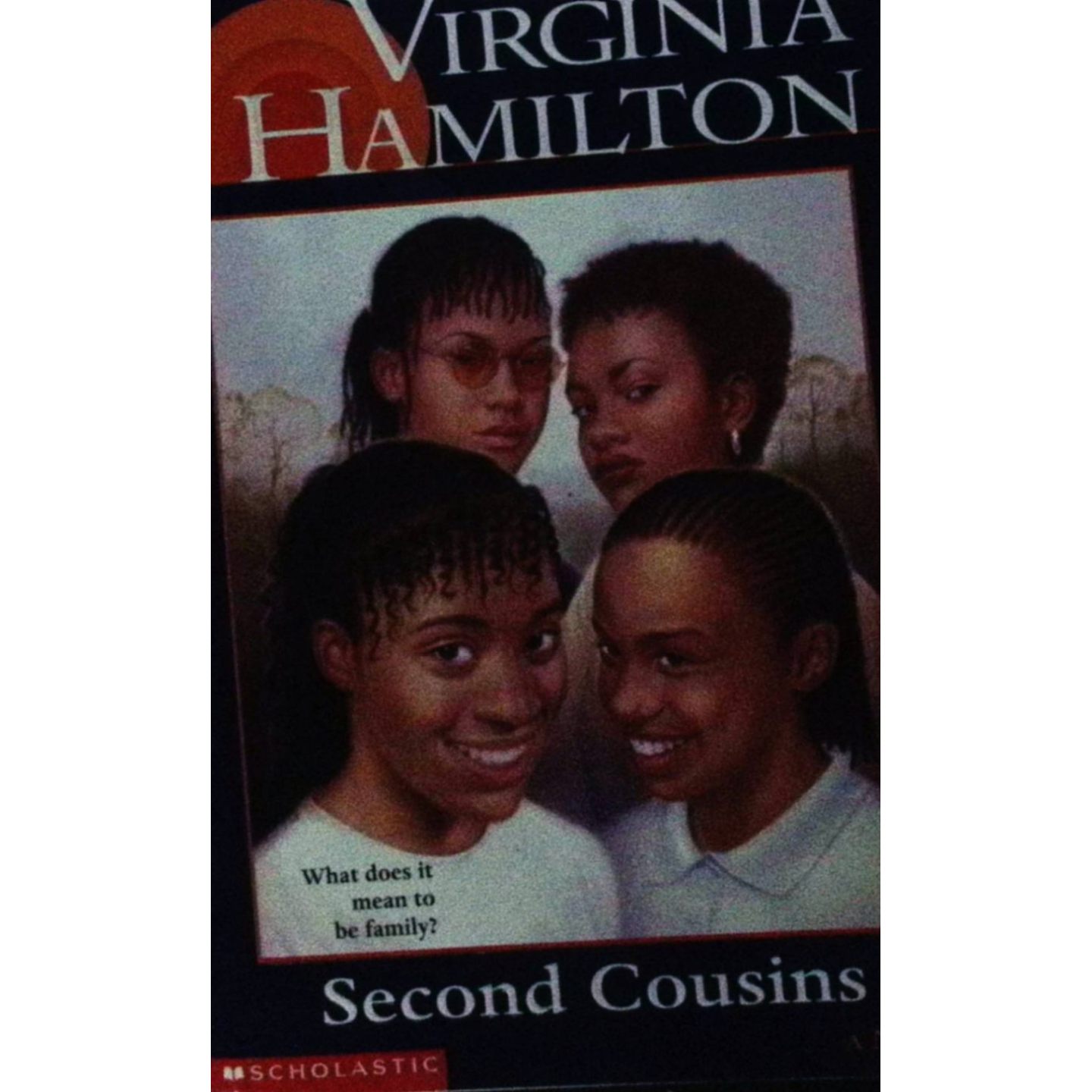 英文原版图书表亲系列成长小说