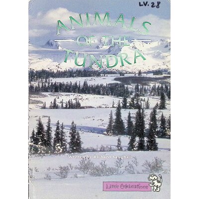 英文原版图书苔原动物科普绘本