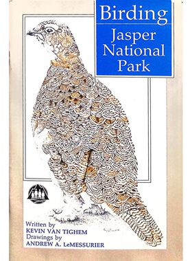 英语原版书观鸟贾斯珀国家公园Birding青少年自然探索指南加拿大贾斯珀国家公园观鸟手册凯文范蒂格姆撰写安德鲁勒梅苏里尔插图