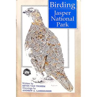 英语原版书观鸟贾斯珀国家公园Birding青少年自然探索指南加拿大贾斯珀国家公园观鸟手册凯文范蒂格姆撰写安德鲁勒梅苏里尔插图