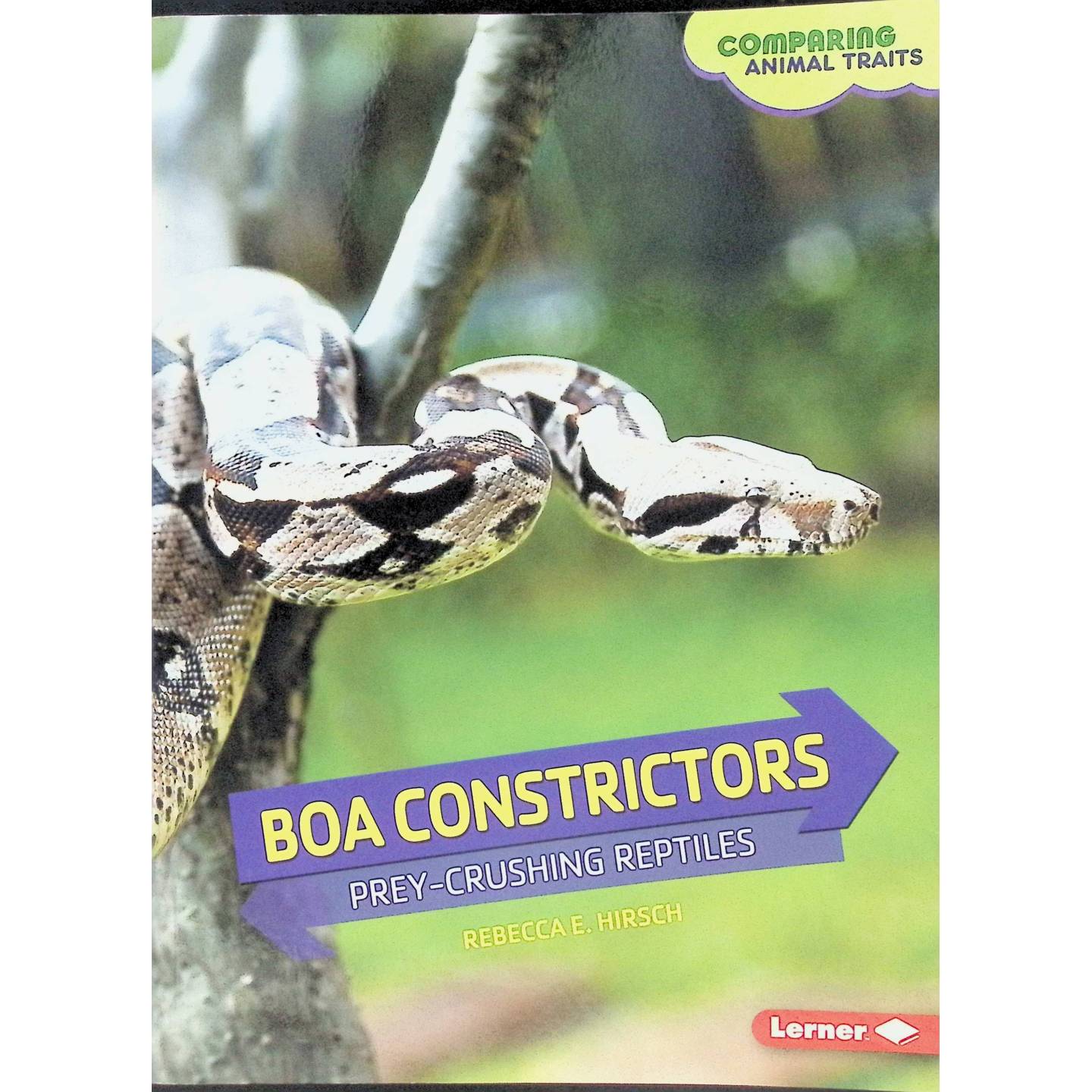 英文原版图书蟒蛇科普绘本