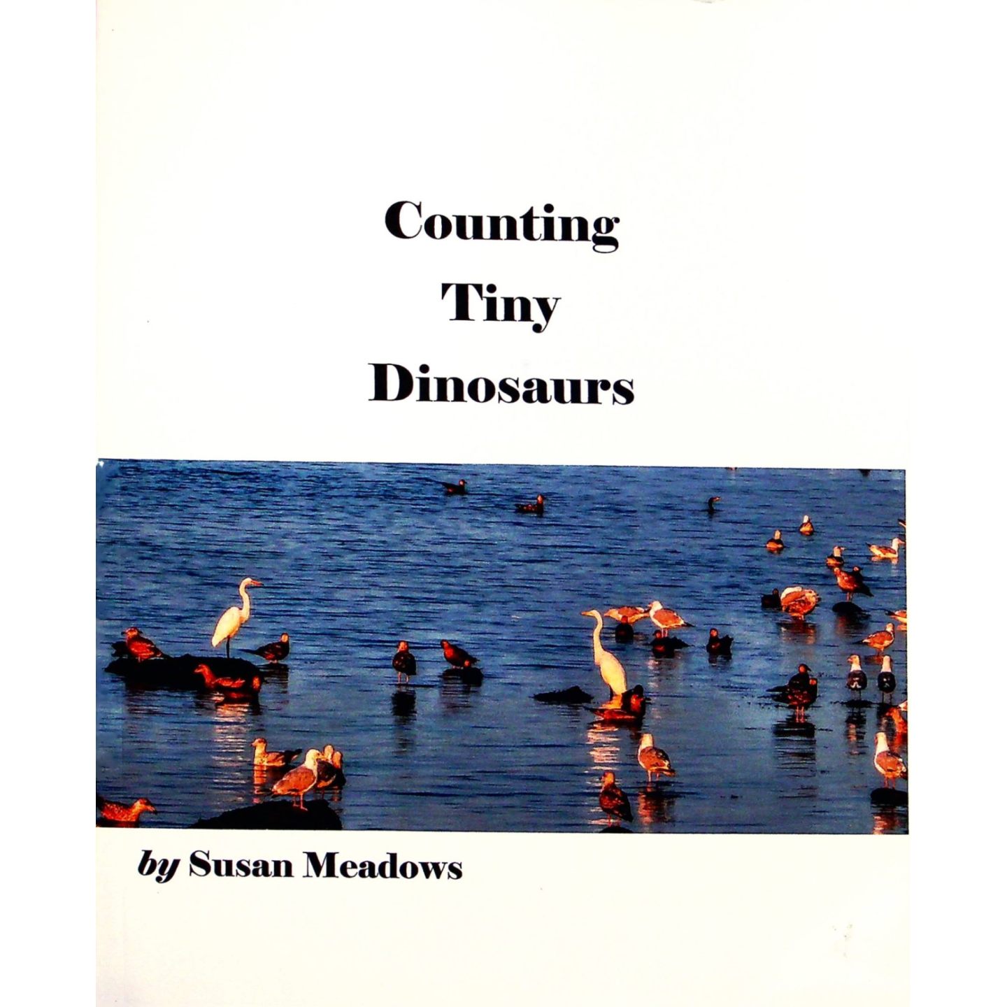 英文原版图书恐龙数字启蒙绘本