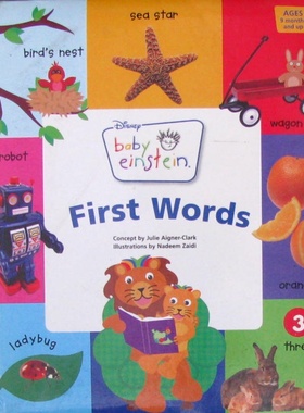 迪士尼宝贝爱因斯坦系列FirstWords原版英语启蒙绘本专为02岁宝宝设计通过色彩鲜艳的图片和简单文字帮助孩子认识生活中常见物品