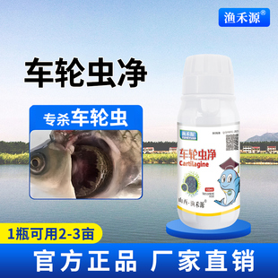 车轮虫净车轮虫小瓜虫指环虫纤毛虫锚头鳋三代虫鱼塘水产杀虫鱼药