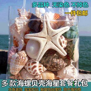 超级大海螺壳天然真贝壳摆件儿童玩具礼物海星珊瑚鱼缸水族装 饰