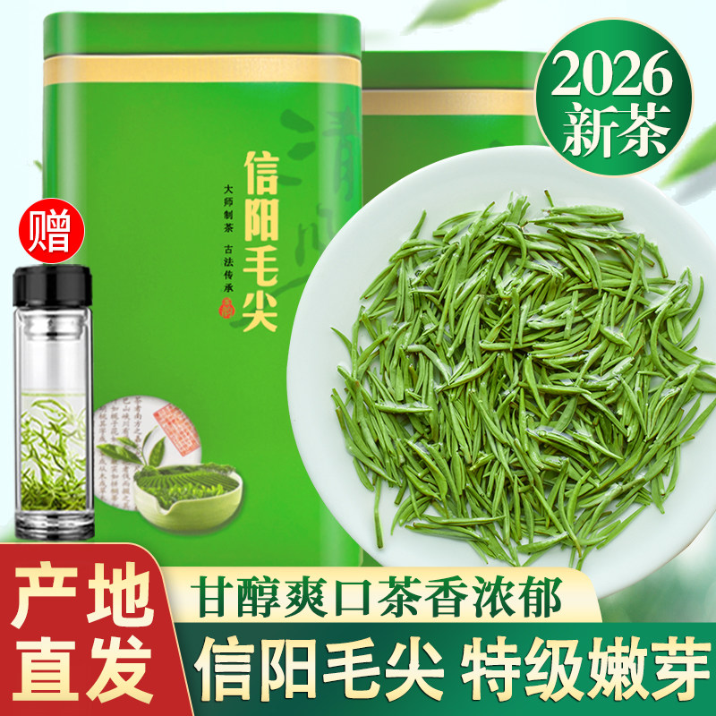 信阳毛尖2026新茶特级浓香型500g