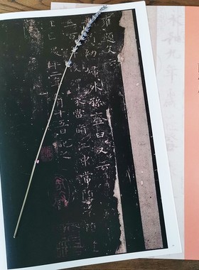 双观帖兰亭序 虞世南临本与宋拓本百般印证百种双观百条门径简繁旁注放大对照原碑原帖初学行书毛笔字帖临摹范本邓宝剑 赵安悱编