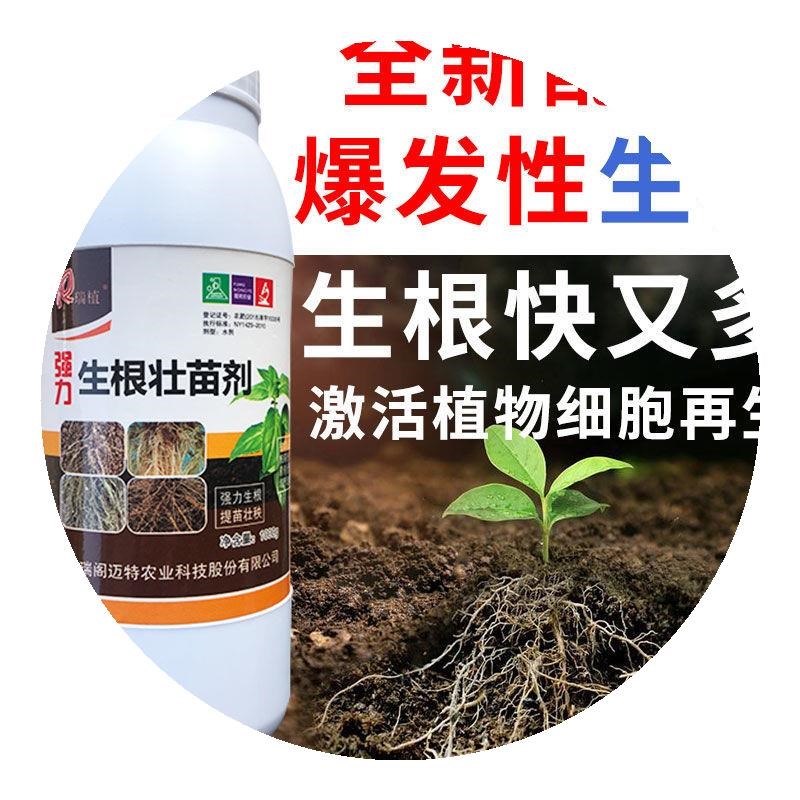 强力生根剂强力生根粉快速生根壮苗剂i移栽扦插果树