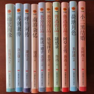 小二黑结婚荷塘月色啼笑因缘再别康桥呼兰河传我这一辈子骆驼祥子阿Q正传南游杂忆文学小说课外阅读 作品 全10册 现当代文学经典