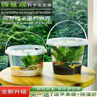 加厚透明水桶养鱼桶赶海观察桶带盖捞鱼捉虾迷你水桶养鱼专用水桶