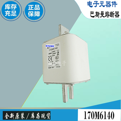 巴斯曼170M6140170M6141保险丝