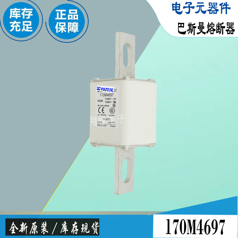 巴斯曼170M4666170M4667保险丝