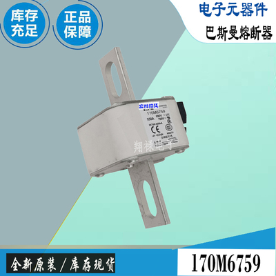 巴斯曼170M6718170M6719保险丝