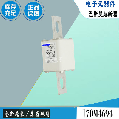 巴斯曼170M4692170M4693保险丝