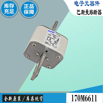 巴斯曼170M5618170M6608保险丝