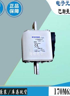 170M5250 170M6238 170M6239巴斯曼全新电子熔断器Bussmann保险丝