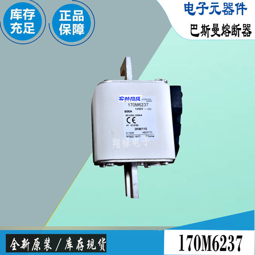 巴斯曼170M5250170M6238保险丝