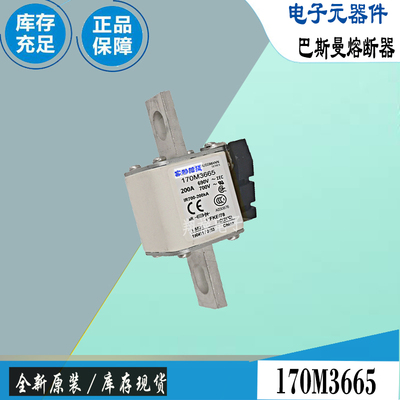 巴斯曼170M3689170M3690保险丝
