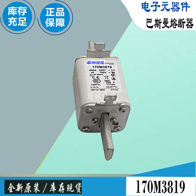 巴斯曼170M3816170M3817保险丝