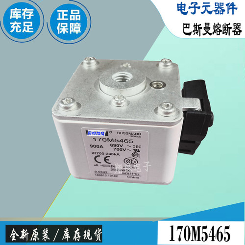 巴斯曼170M5496170M5497保险丝