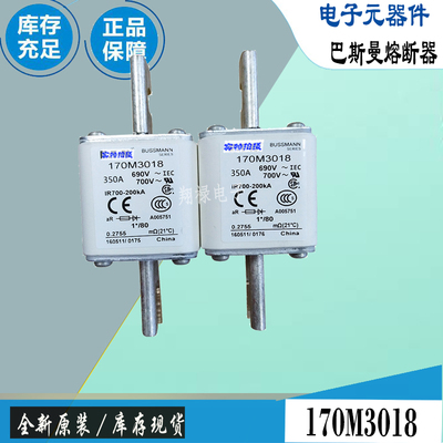 巴斯曼170M3063170M3064保险丝