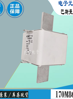 170M8642 170M3188 170M3189巴斯曼全新电子熔断器Bussmann保险丝