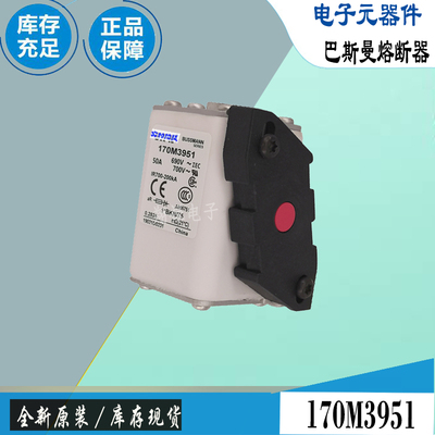 巴斯曼170M3951170M3952保险丝