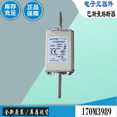 巴斯曼170M3989170M3990保险丝