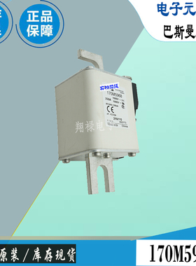 170M5969 170M5970 170M5971巴斯曼全新电子熔断器Bussmann保险丝