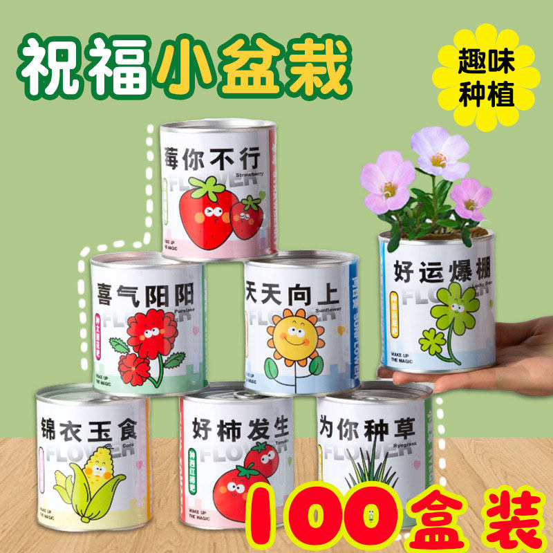 罐装种植盲盒盆栽绿植奖品实用小学生奖励义卖礼物幼儿园小礼品
