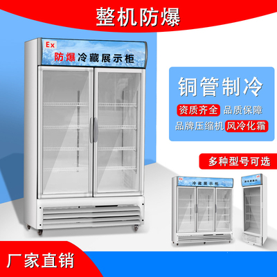 工业防爆冰箱卧式/立式/易燃易爆危化品库/医药实验室/化学品仓库