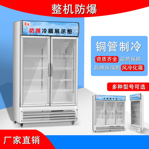 工业防爆冰箱/易燃易爆危化品库防爆冰箱/医药/实验室化学品仓库