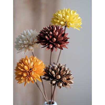 玉兰干花花束客厅摆设真花天然插花轻奢高级感摆件侘寂风家居装饰