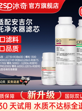 冰奇适用安吉尔净水器滤芯哪吒600g/2730/J2806-ROB90/PRO2000