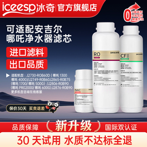 冰奇适用安吉尔净水器滤芯哪咤600g/2730/J2806-ROB90/PRO2000