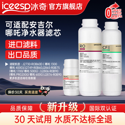 冰奇适用安吉尔净水器滤芯哪吒