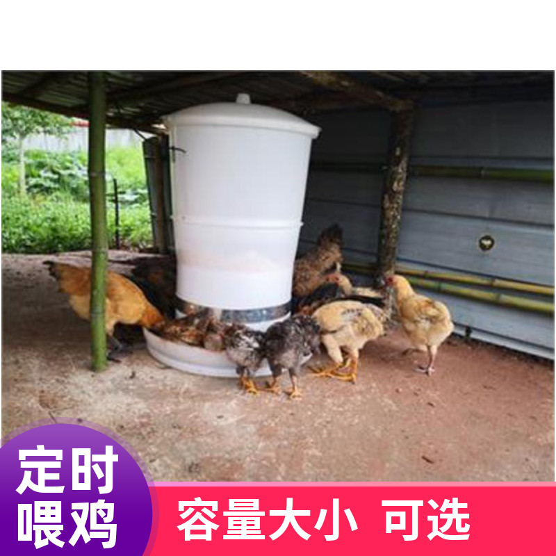 鸡子自动喂食器养鹅全自动专用喂鸡食槽防下雨饮水盆尖盖家禽定时