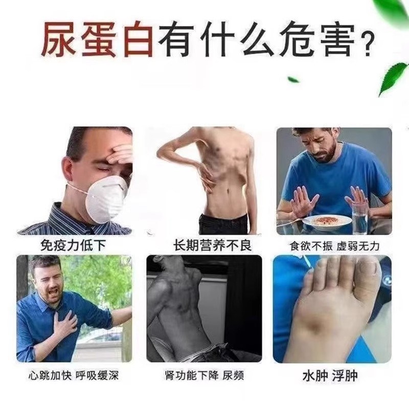 蛋白尿清丸有泡沫异味尿液浑浊尿蛋白高食欲不振浮肿鸡Z内金茯苓