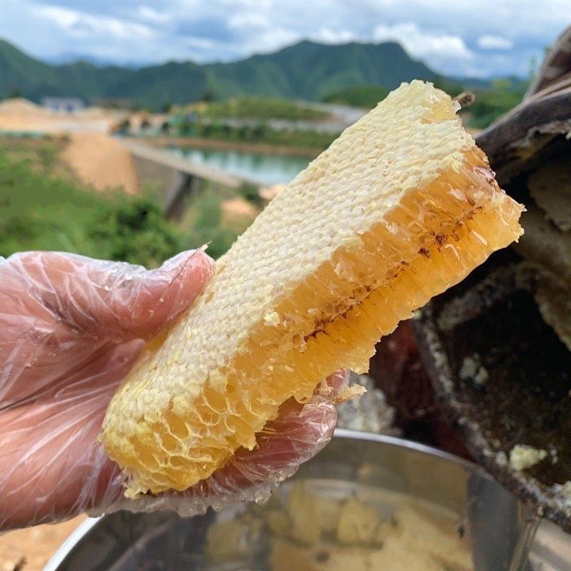 野生蜂巢蜜嚼着吃纯正天然老巢蜜秦岭农家N自产土蜂蜜蜂窝蜜瓶装