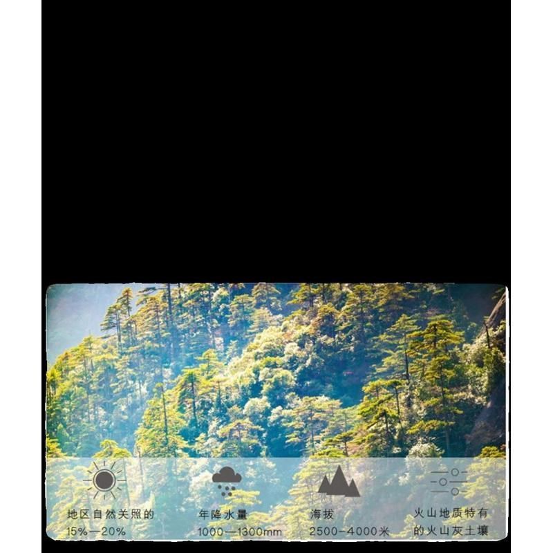 华佗足迹破壁松花粉片食用松花粉调节免疫 100Y片官方正品店