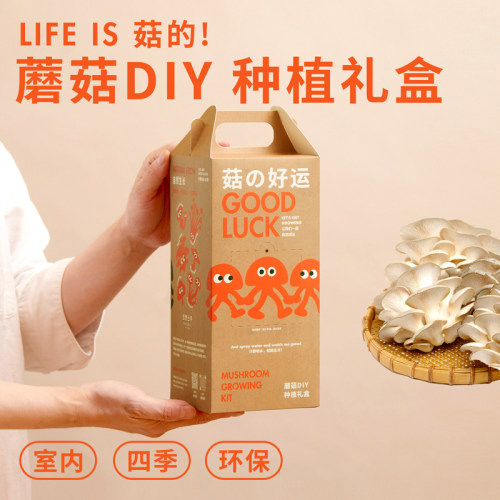 自然士多 蘑菇DIY种植礼盒 可食用生态菌菇种植包包定制伴手礼