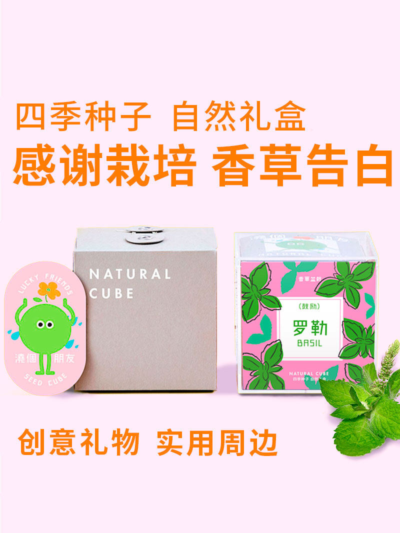自然士多 香草种子礼盒 进口花种籽盆栽教师节定制伴手礼送老师