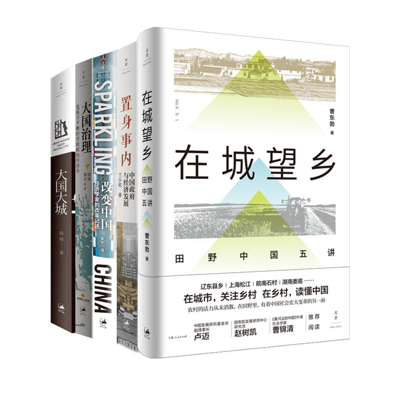 中国经济5本套装 大国大城/大国治理/改变中国/置身事内/在城望乡 罗辑思维专题推荐中国当前城乡经济发展中切实存在的现实问题